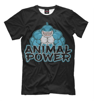 Animal power